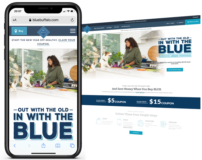 Driving Online Sales and Acquisition for Blue Buffalo